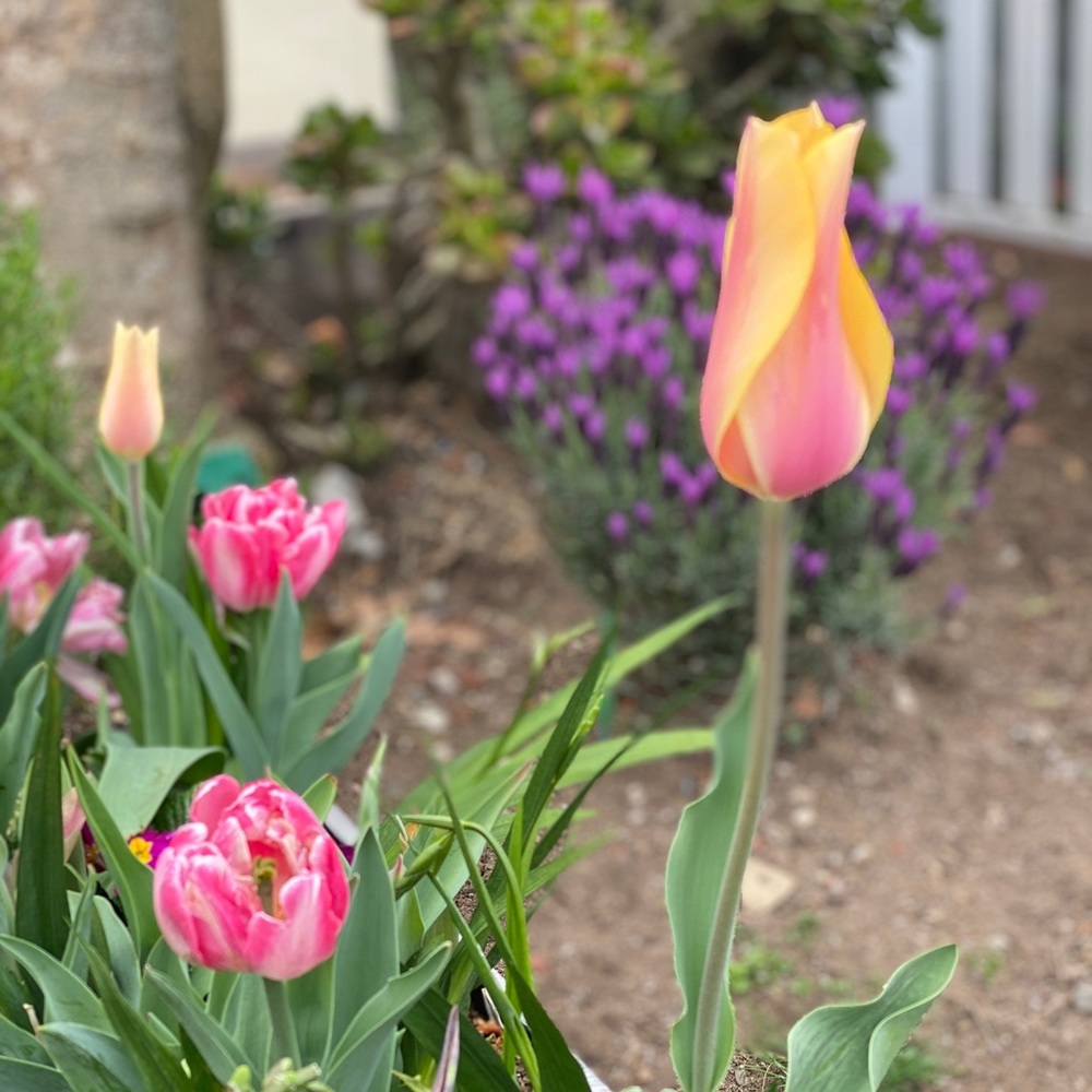 Nice to meet you here at Poshmark!